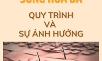 Quy Trình Sừng Hóa Và Sự Ảnh Hưởng Của Chu Kỳ Tái Tạo Đối Với Vẻ Đẹp Của Làn Da